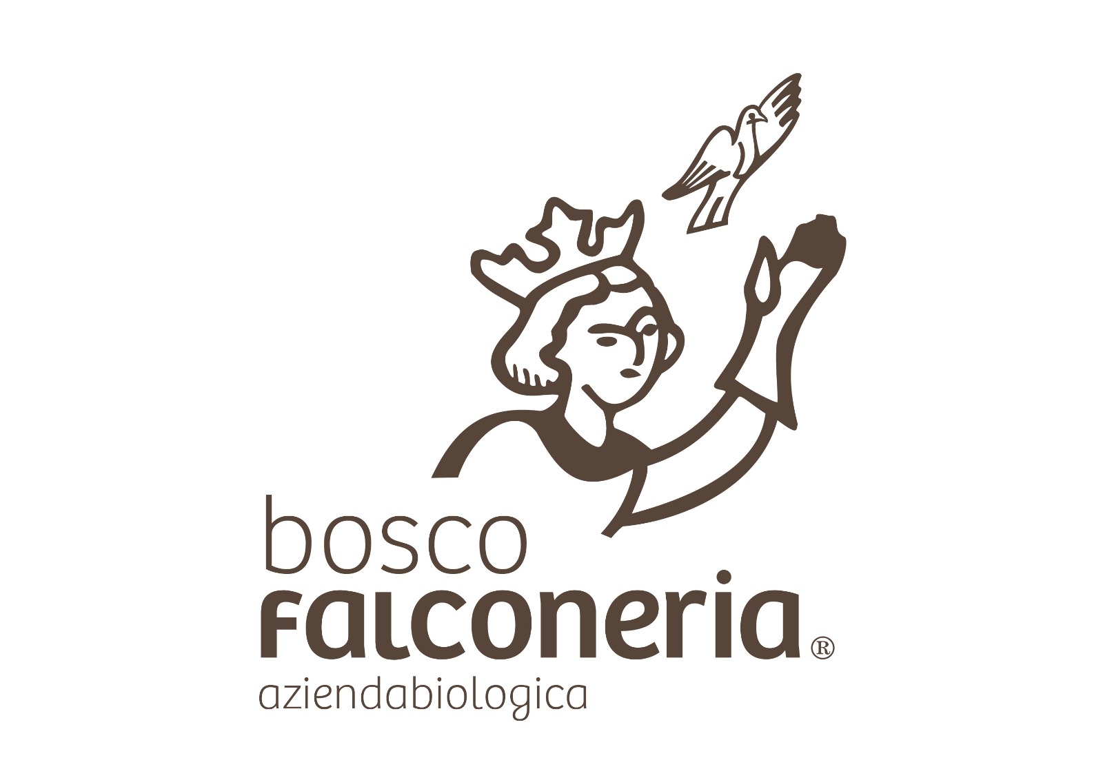 Bosco Falconeria logo
